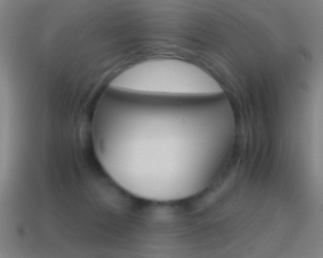 X0000114700228200910211016