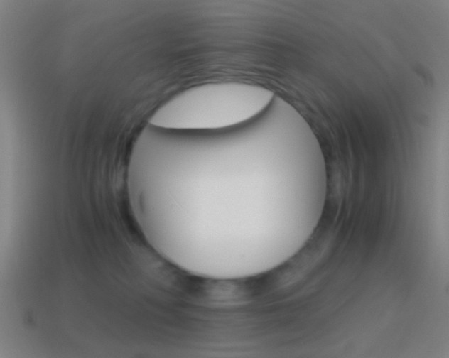 X0000114700230200910211016