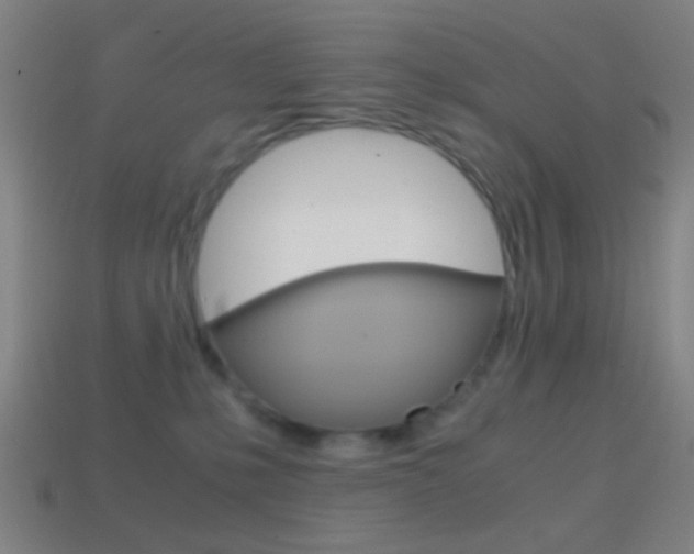 X0000114700231200910211016