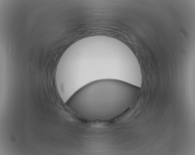 X0000114700235200910211016