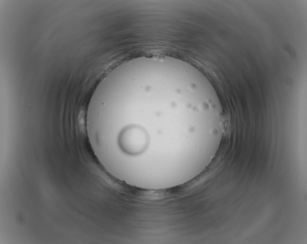 X0000114700238200910211016