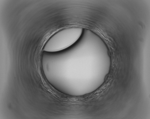 X0000114700241200910211015