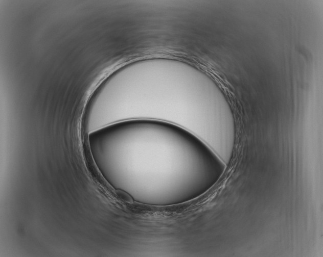 X0000114700244200910211015
