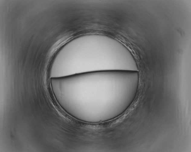 X0000114700245200910211015
