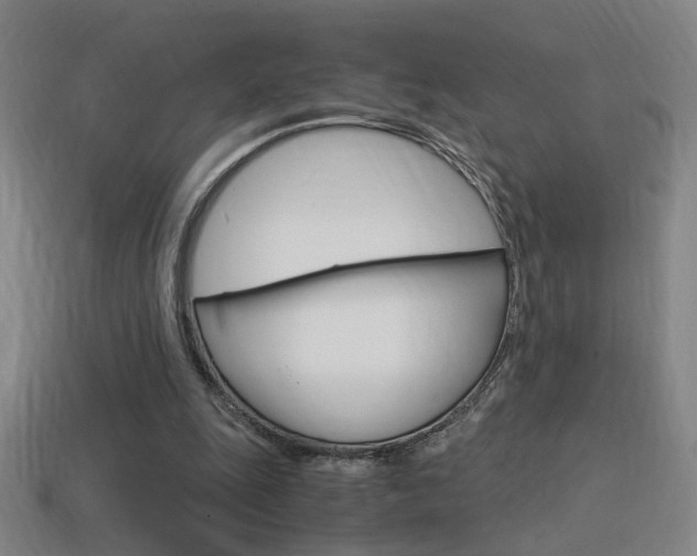 X0000114700247200910211015