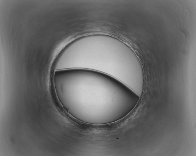 X0000114700248200910211015