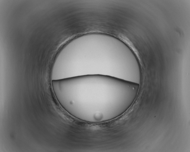 X0000114700249200910211015