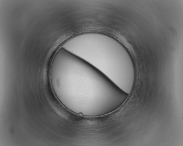 X0000114700250200910211015
