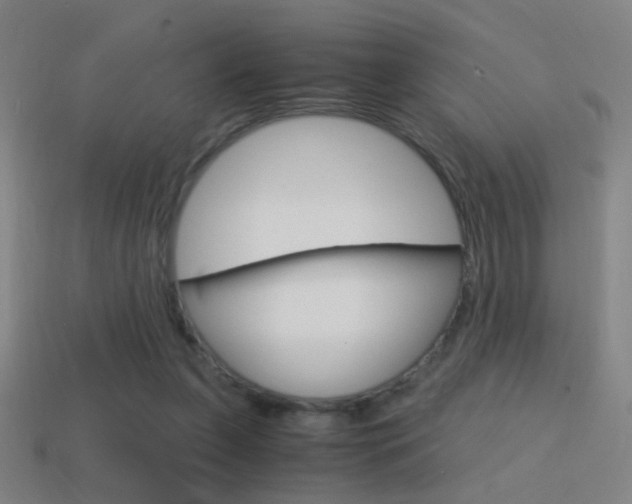 X0000114700255200910211015