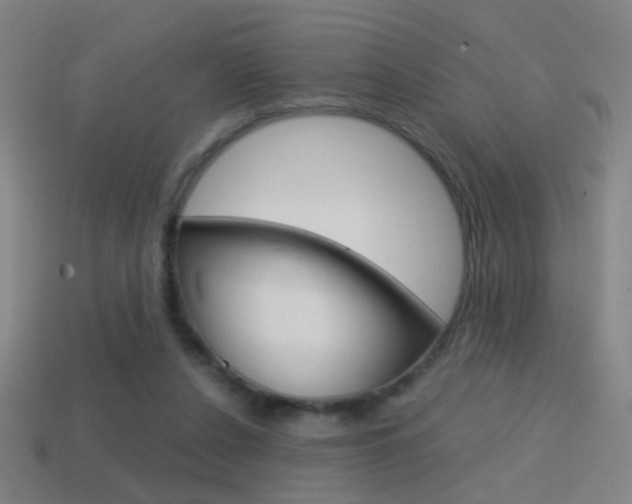 X0000114700256200910211015