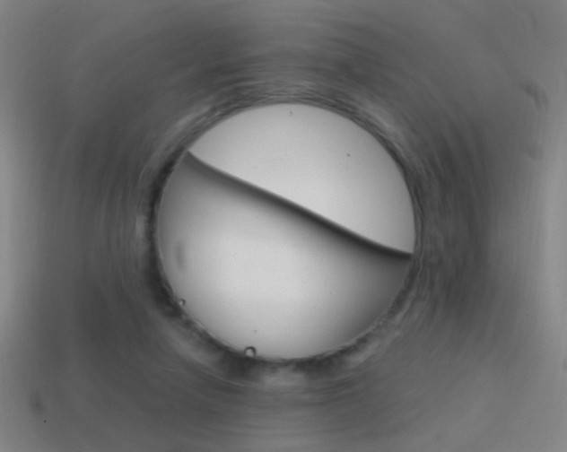 X0000114700258200910211015
