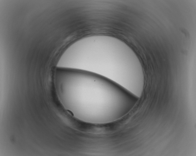 X0000114700260200910211015