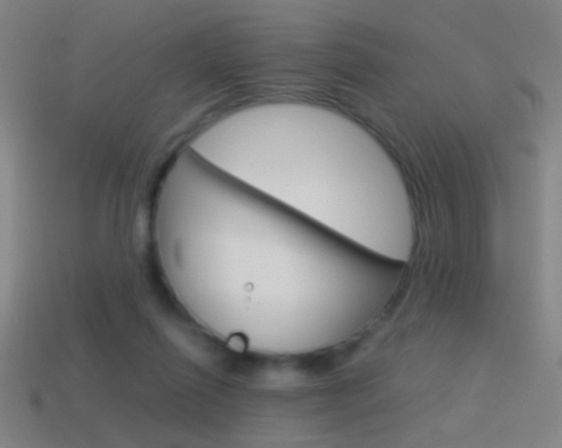 X0000114700262200910211015