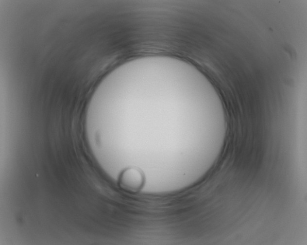 X0000114700264200910211015