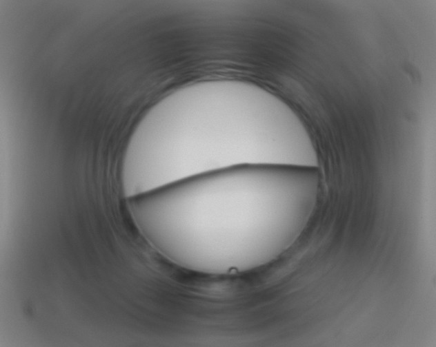 X0000114700267200910211016