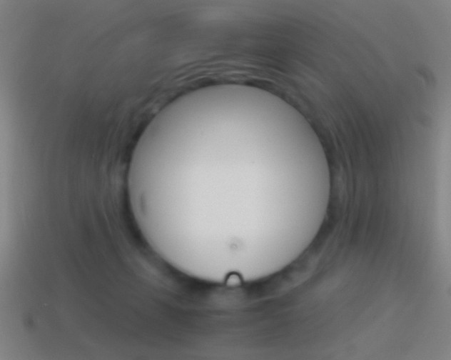 X0000114700271200910211016