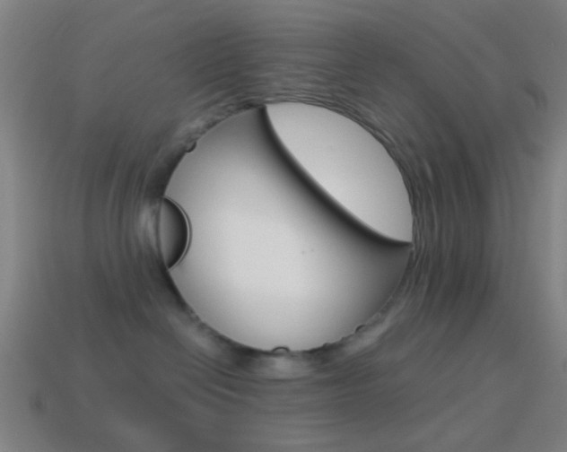 X0000114700286200910211016