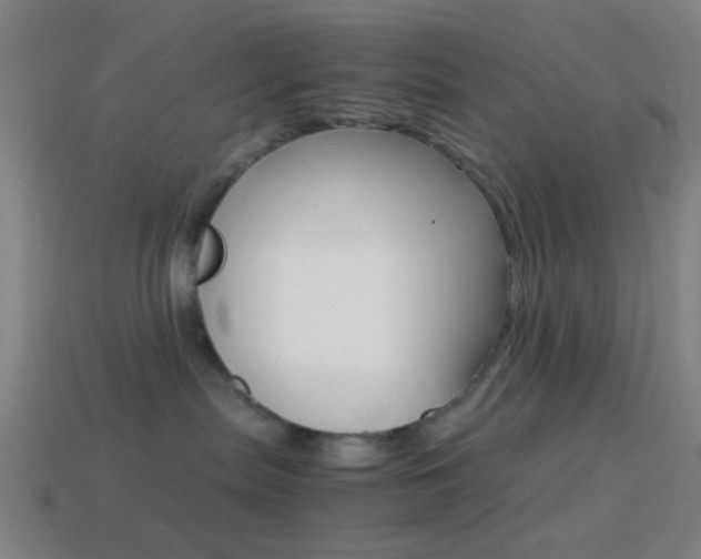 X0000114700287200910211016