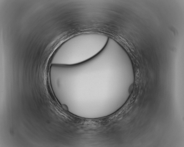 X0000114700290200910211015