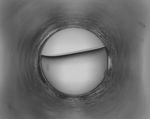 X0000114700291200910211015