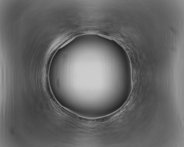 X0000114700293200910211015