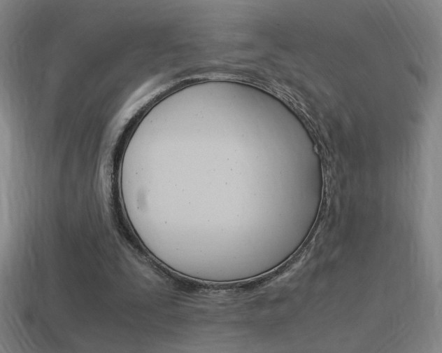 X0000114700295200910211015