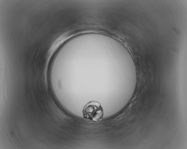 X0000114700296200910211015