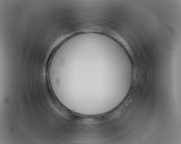 X0000114700298200910211015