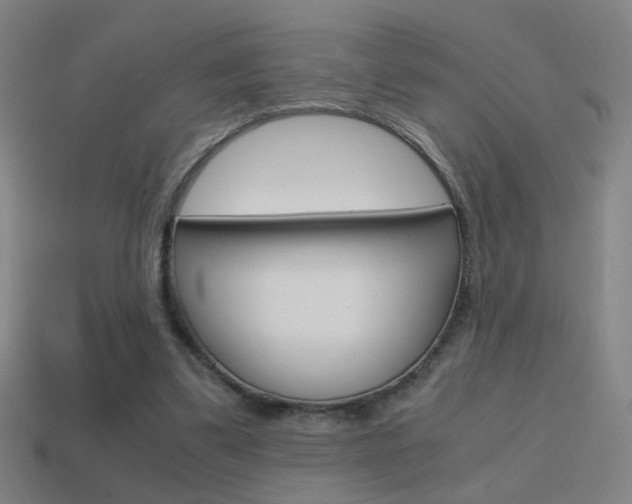 X0000114700299200910211015