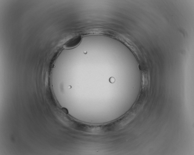 X0000114700301200910211015