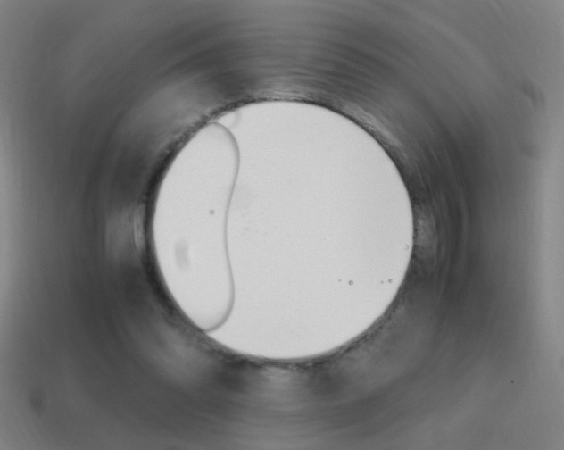 X0000114700302200910211015