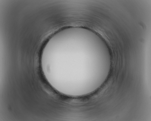 X0000114700303200910211015
