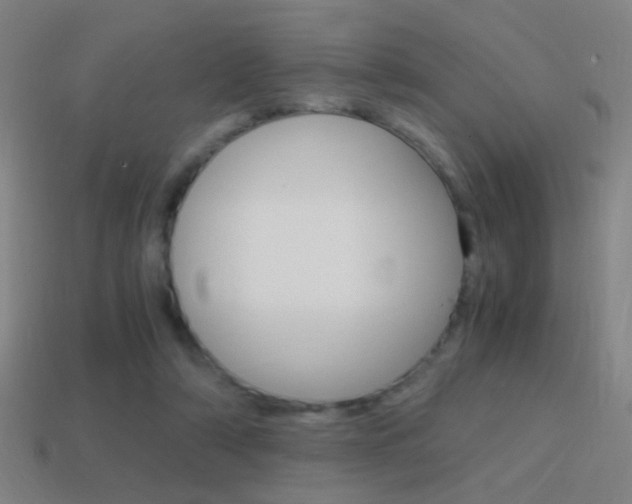 X0000114700306200910211015