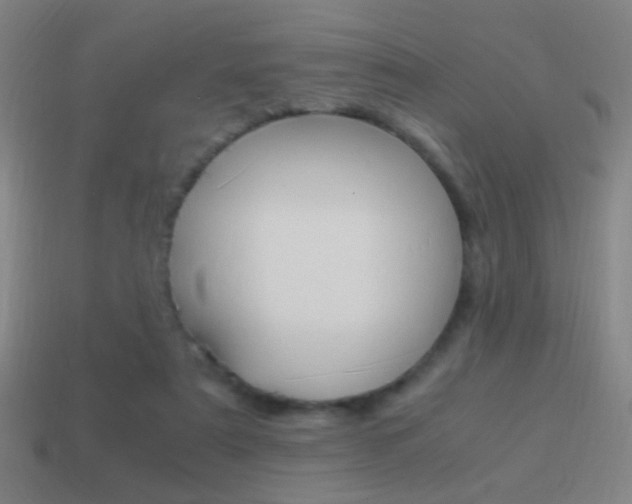 X0000114700307200910211015