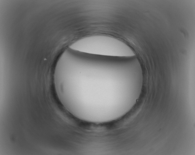 X0000114700311200910211015