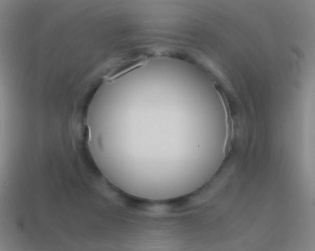 X0000114700313200910211015