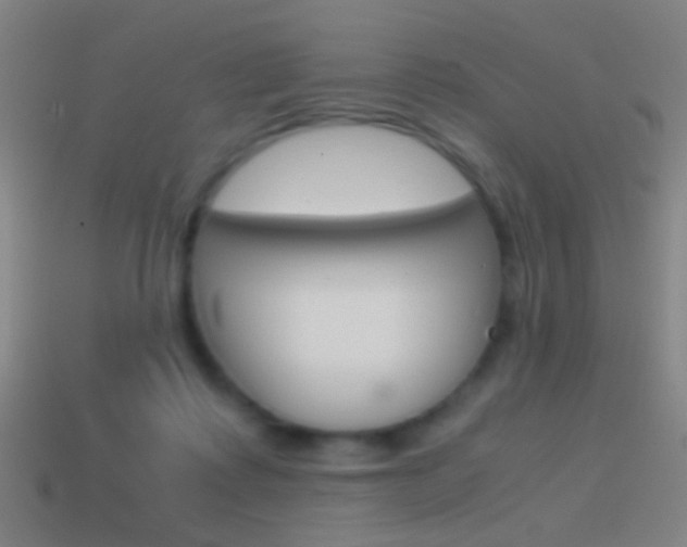 X0000114700315200910211015