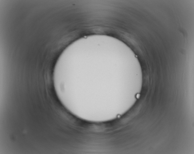 X0000114700317200910211015