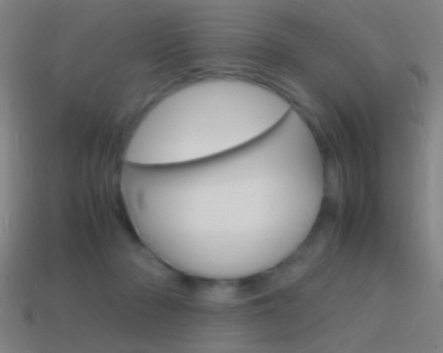 X0000114700318200910211015
