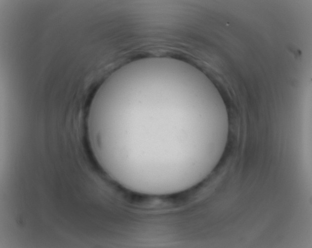 X0000114700319200910211015
