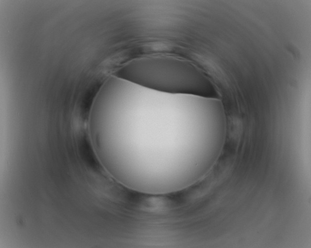 X0000114700324200910211014