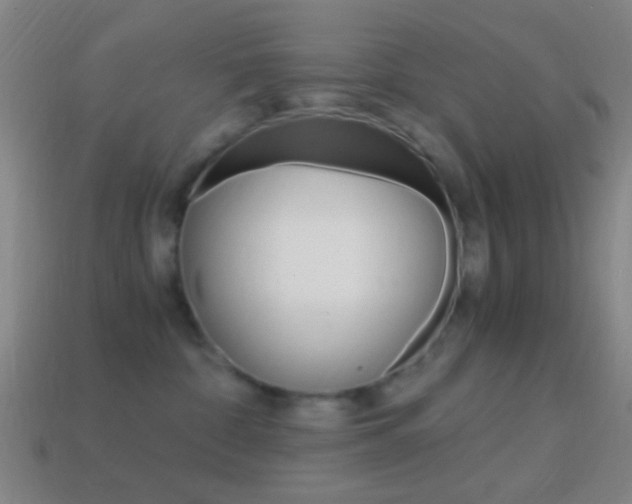 X0000114700332200910211014
