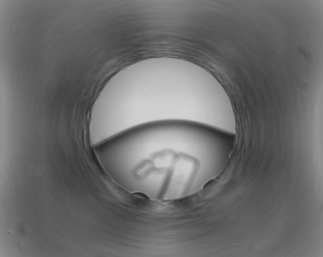 X0000114700333200910211014