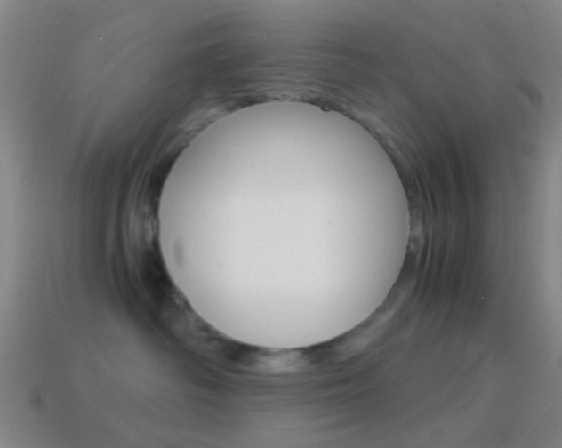 X0000114700334200910211014