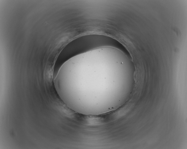 X0000114700336200910211014