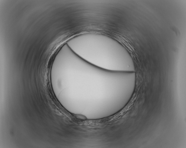 X0000114700338200910211014