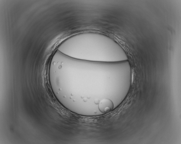 X0000114700339200910211014