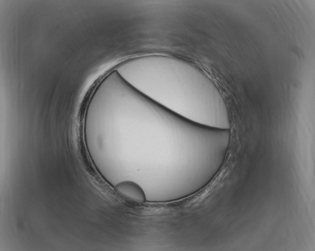 X0000114700342200910211014