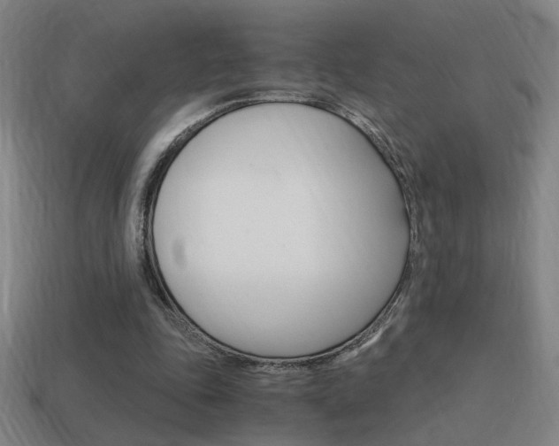 X0000114700343200910211014