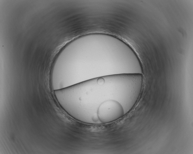 X0000114700345200910211014
